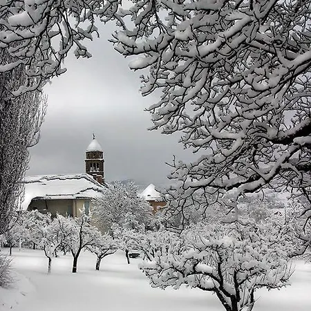 Le Des Faucons